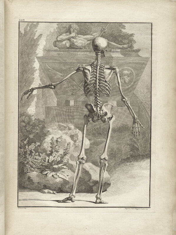 skeleton in garden scene