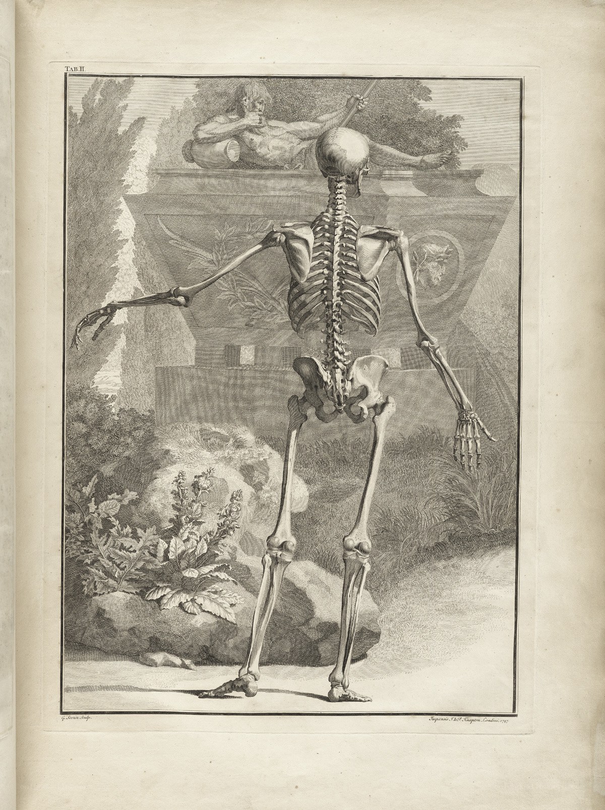 skeleton in garden scene