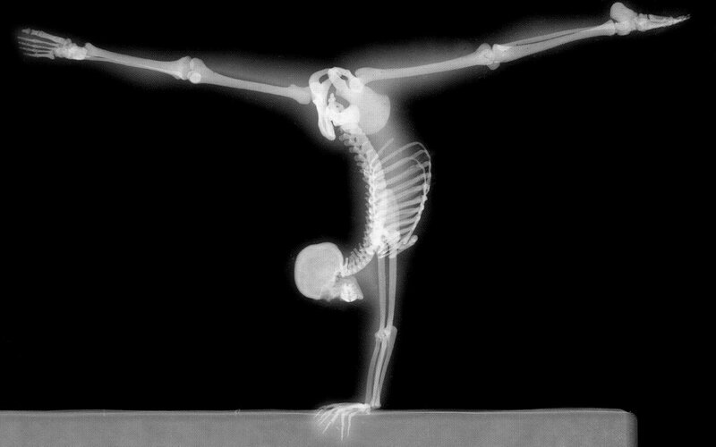 Skeleton in Handstand
