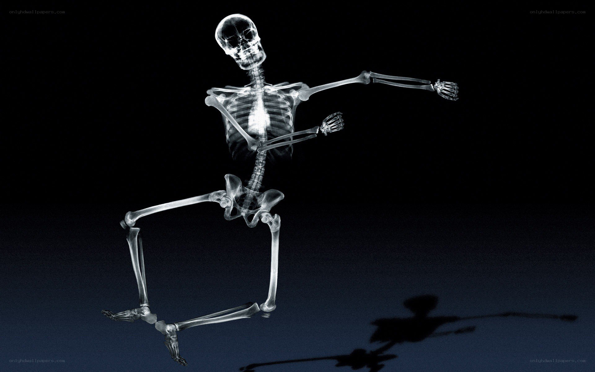 skeleton in motion