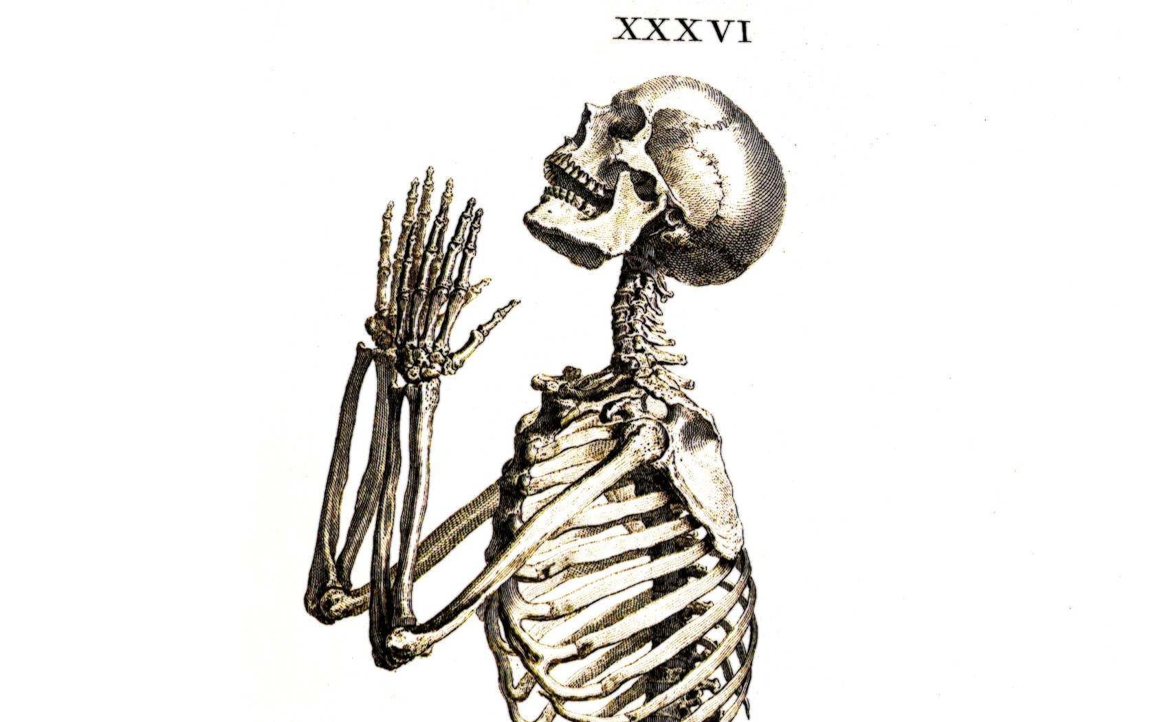 skeleton in prayer pose