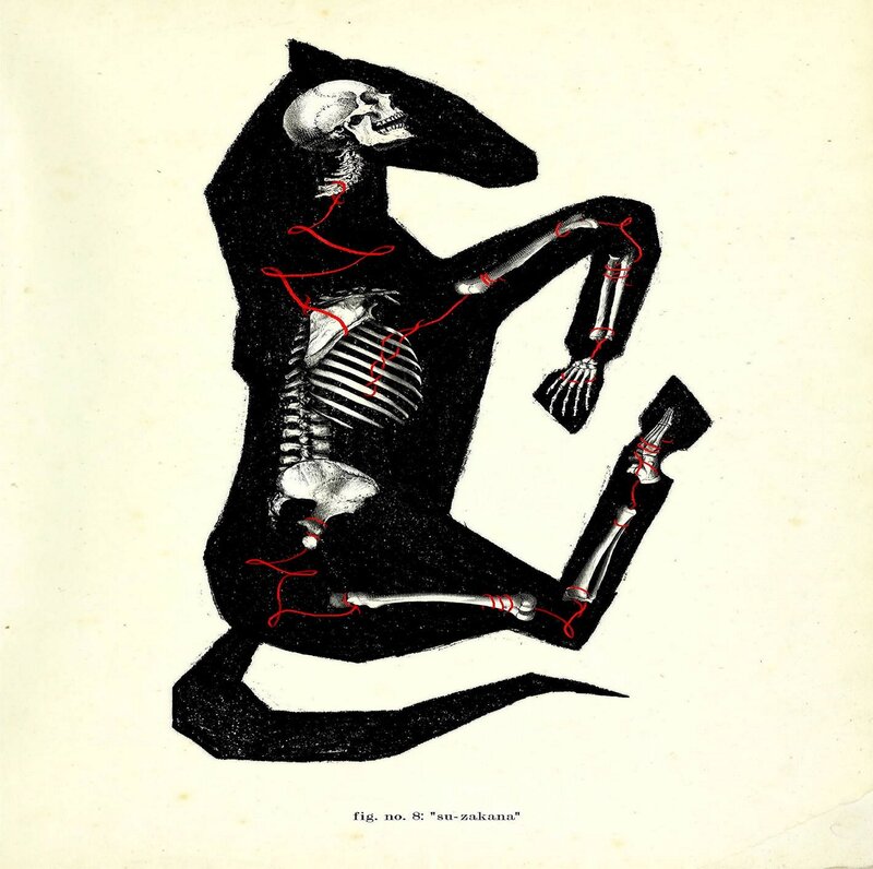 Skeleton in Su-zakana