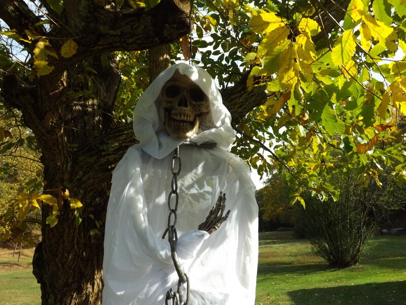 Skeleton in White Robe