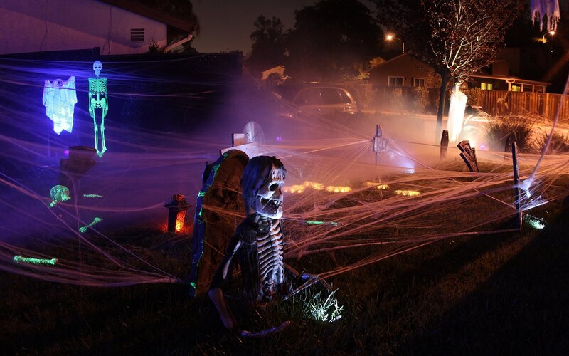 Skeleton in Yard — Purple