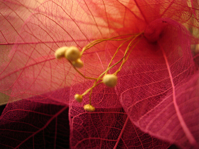 Skeleton Leaf with Buds