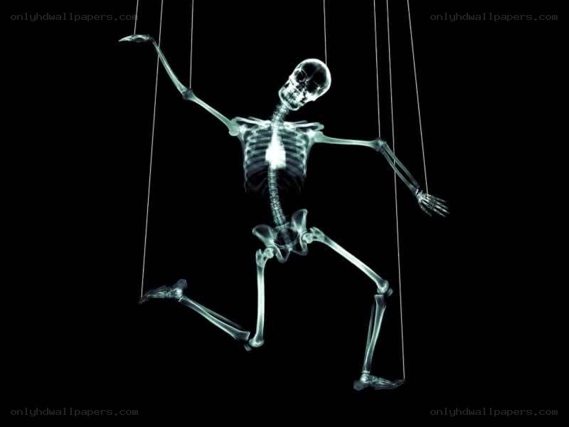 skeleton marionette x-ray