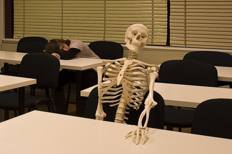 Skeleton Model in Classroom