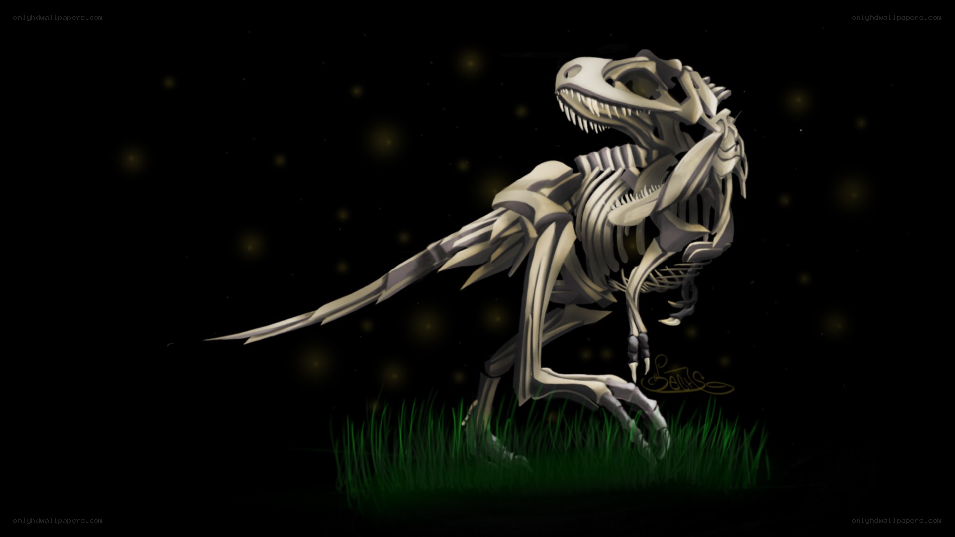 skeleton of a dinosaur