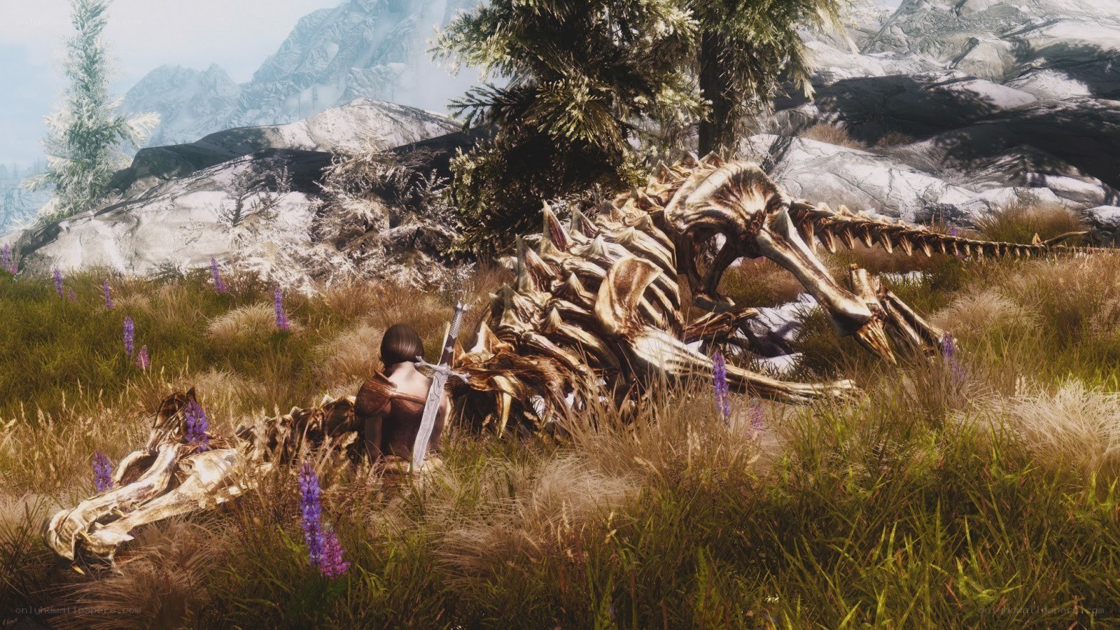 skeleton of a dragon