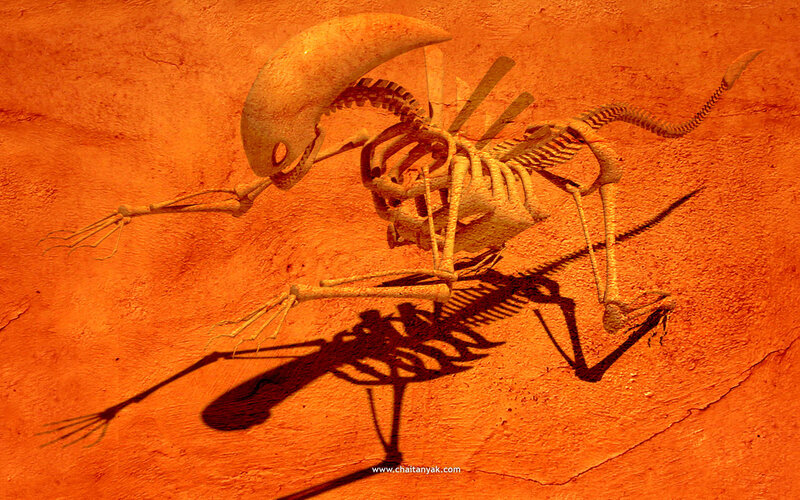 skeleton of alien creature