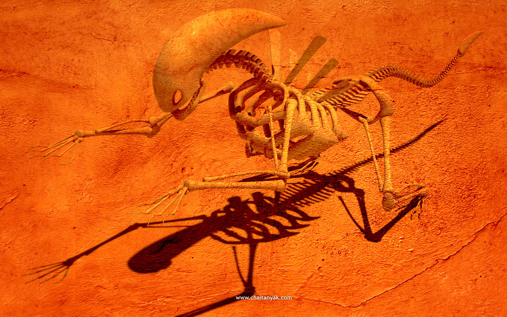 skeleton of alien creature