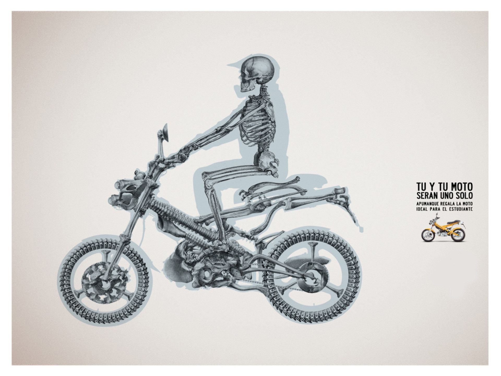 skeleton on a motorcycle