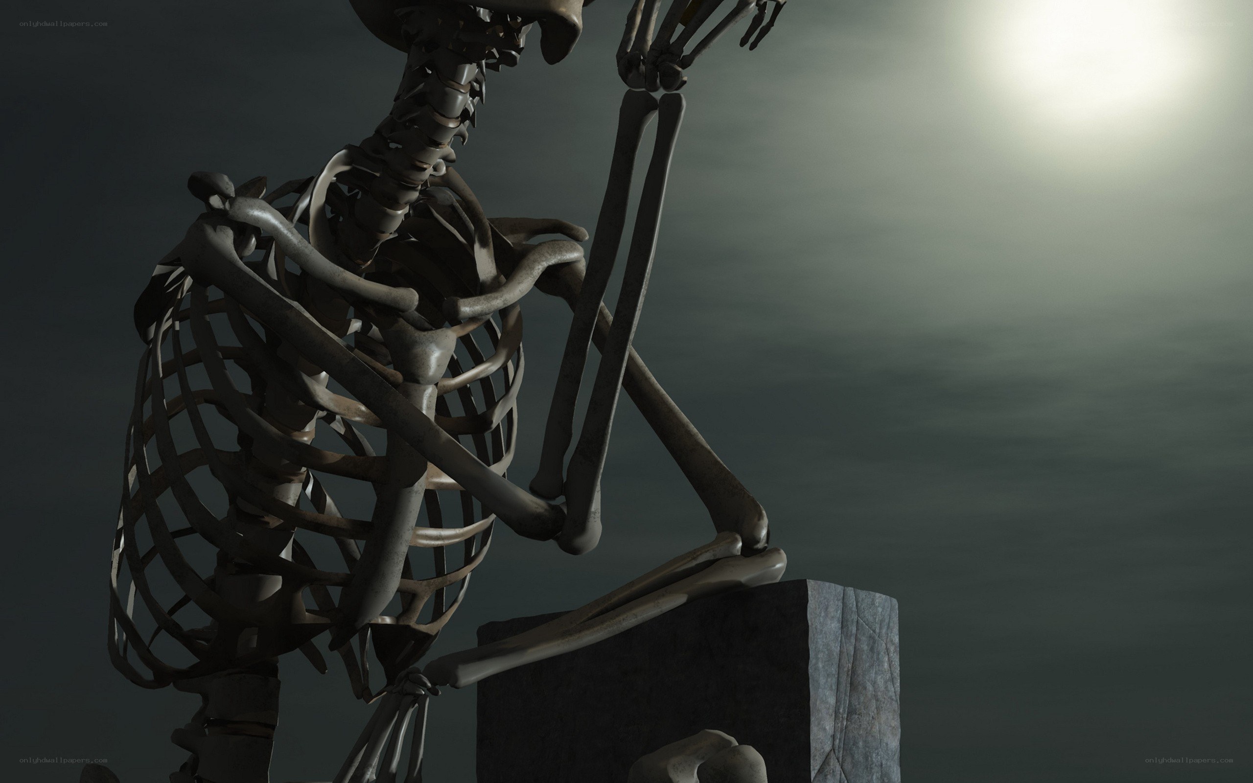 skeleton on a stone block