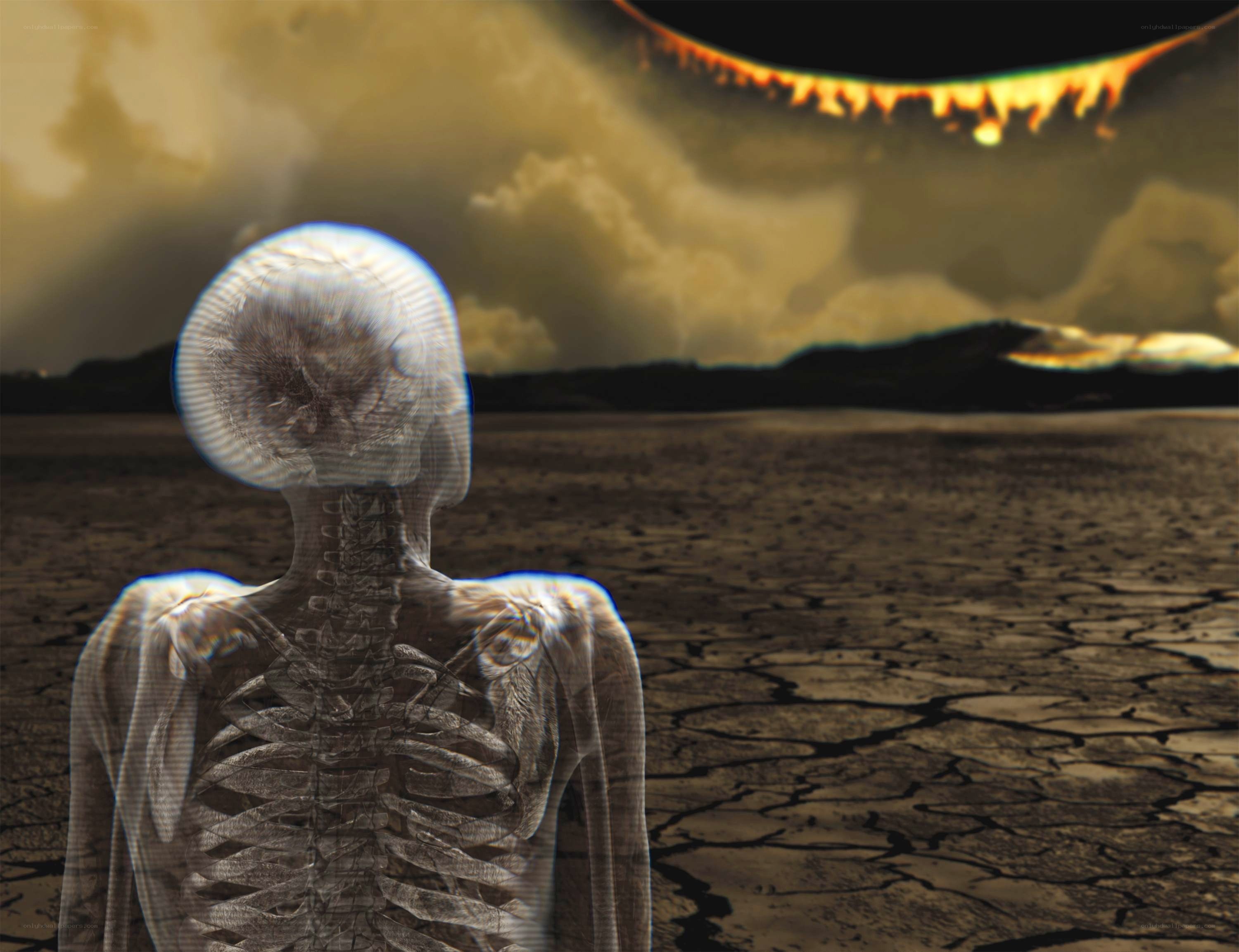 skeleton on barren land