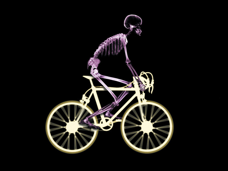 Skeleton on Bicycle