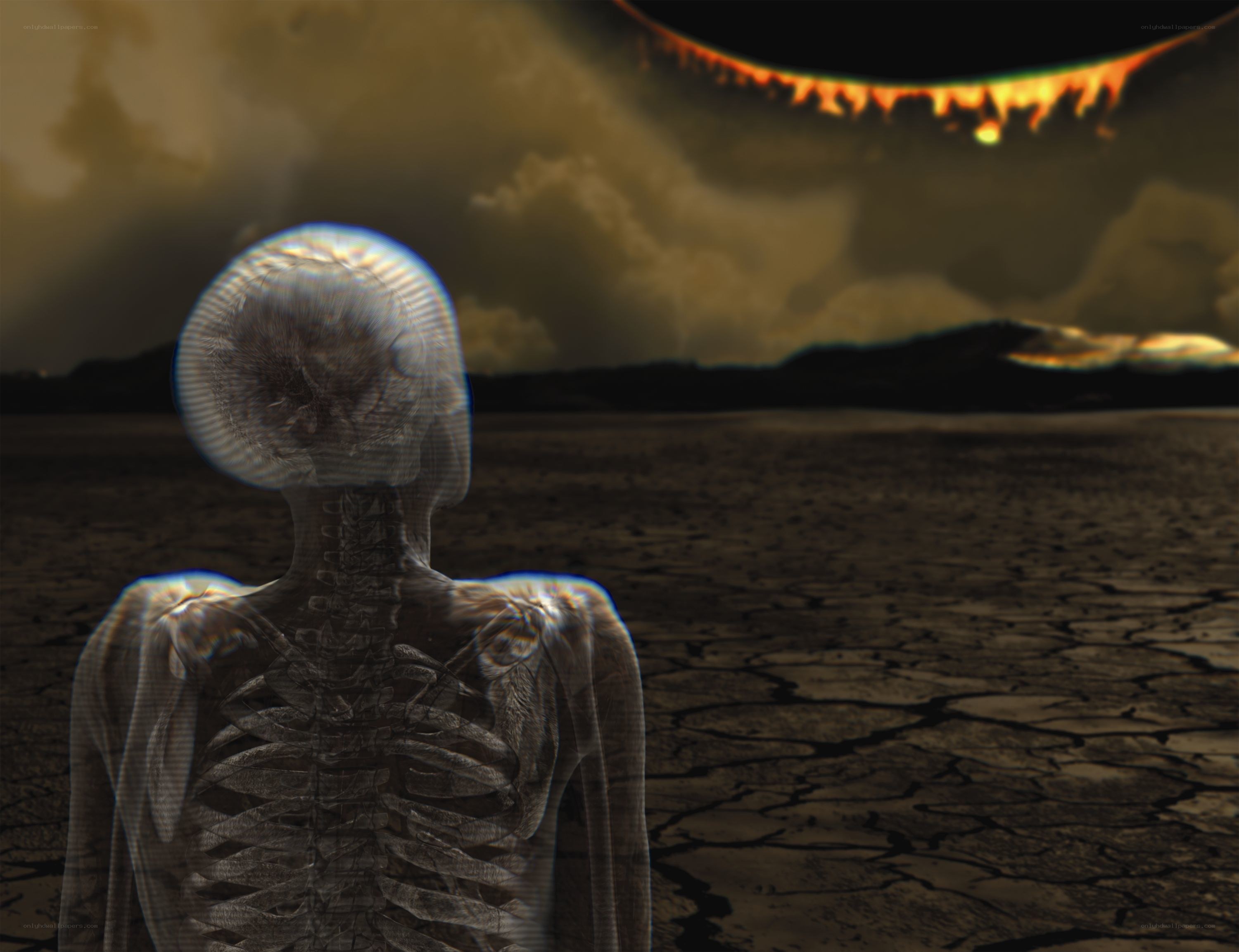 skeleton on cracked earth