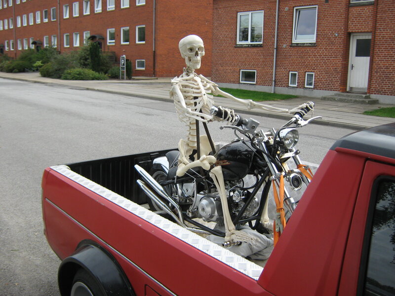 Skeleton on Motorcycle — Red, Humorous