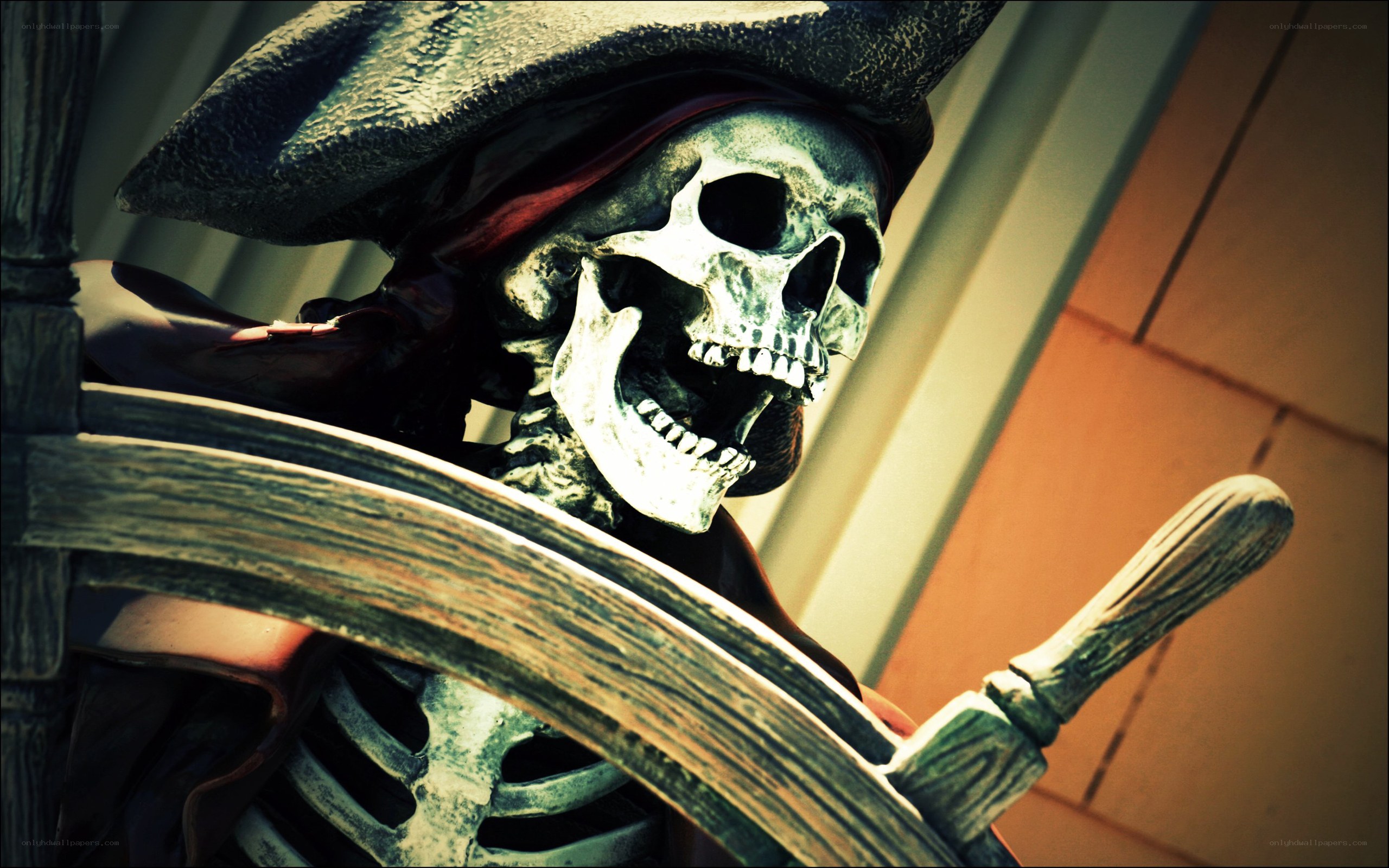 skeleton pirate at the helm