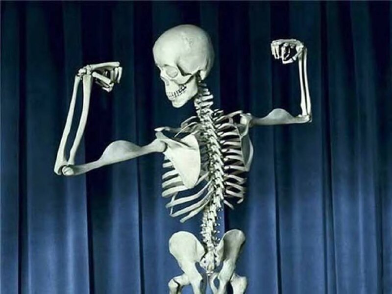 Skeleton Posing Flexing