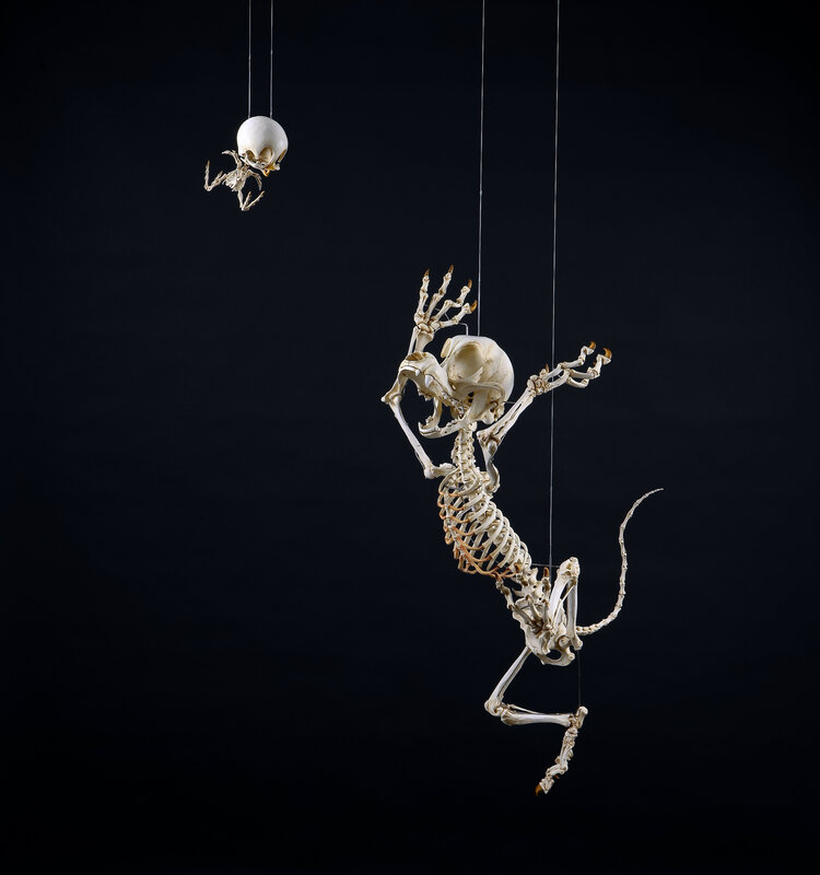 skeleton puppet performance