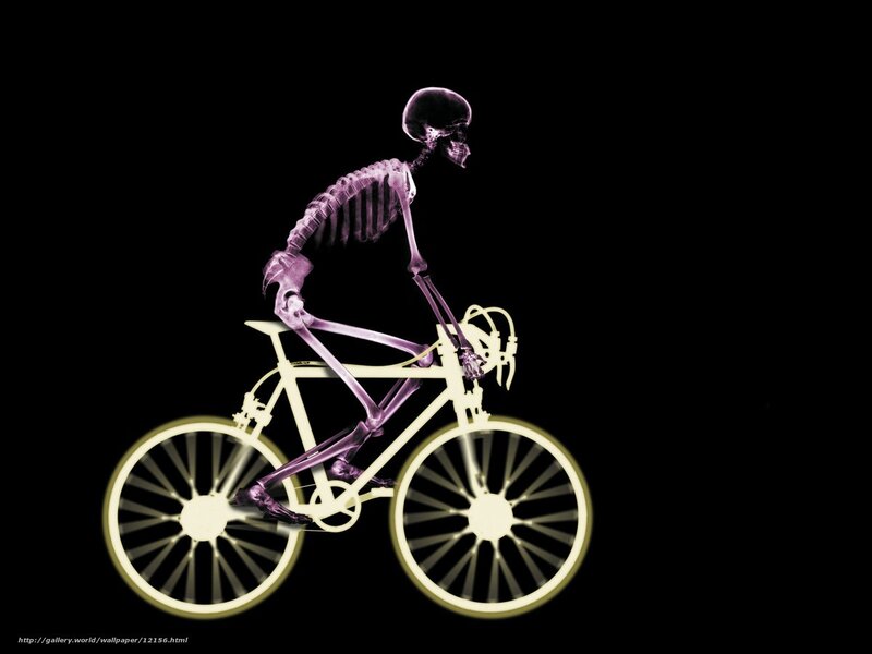 skeleton riding bicycle