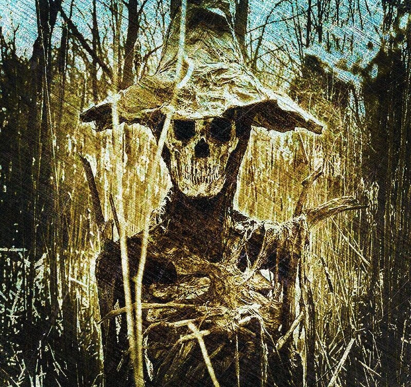 Skeleton Scarecrow in Field
