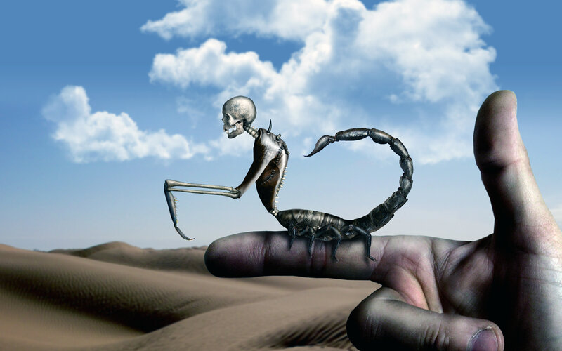 skeleton scorpion on hand