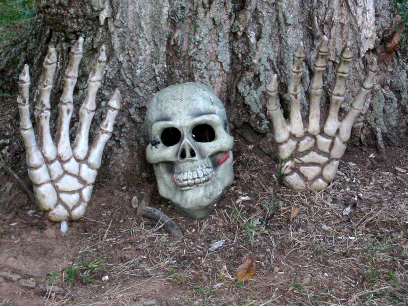 Skeleton Skull and Hands