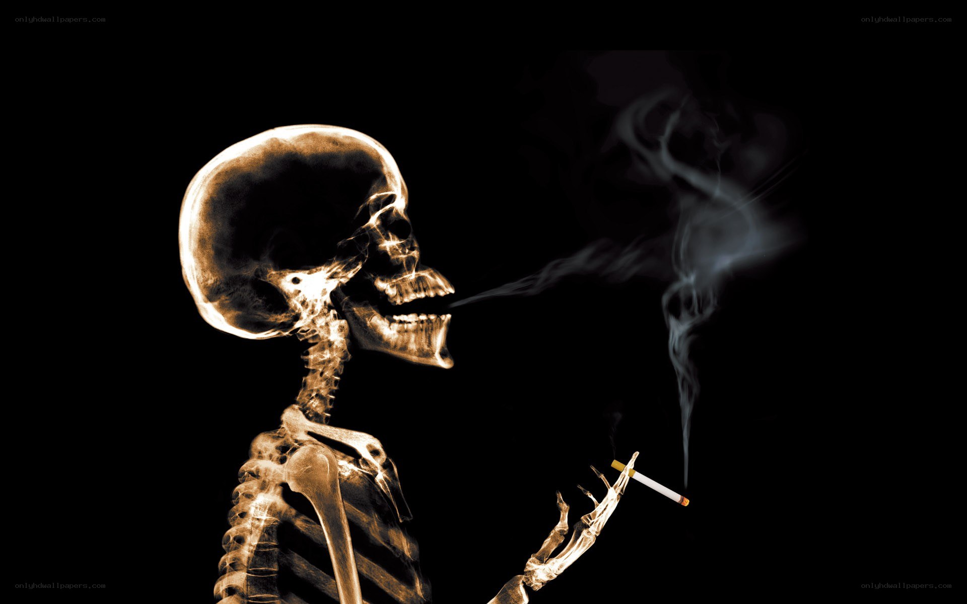 skeleton smoking cigarette