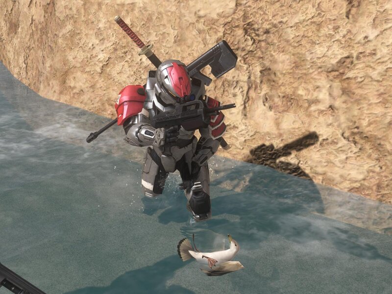 Skeleton Soldier in Water