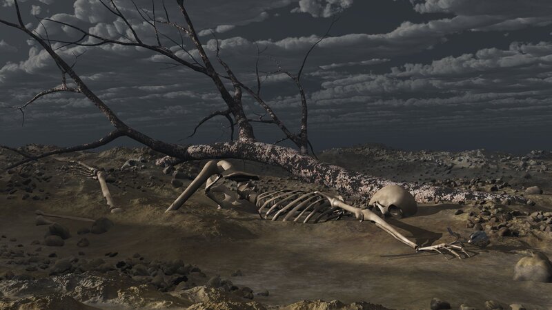 Skeleton under Fallen Tree