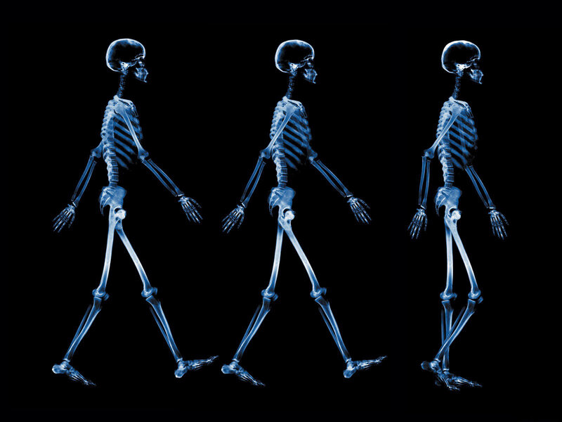skeleton walking sequence