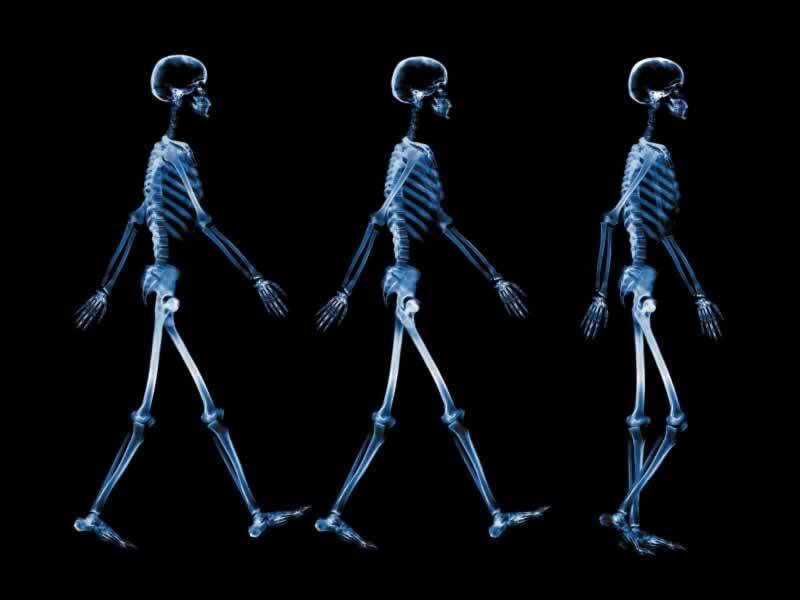 Skeleton Walking Sequence — Blue