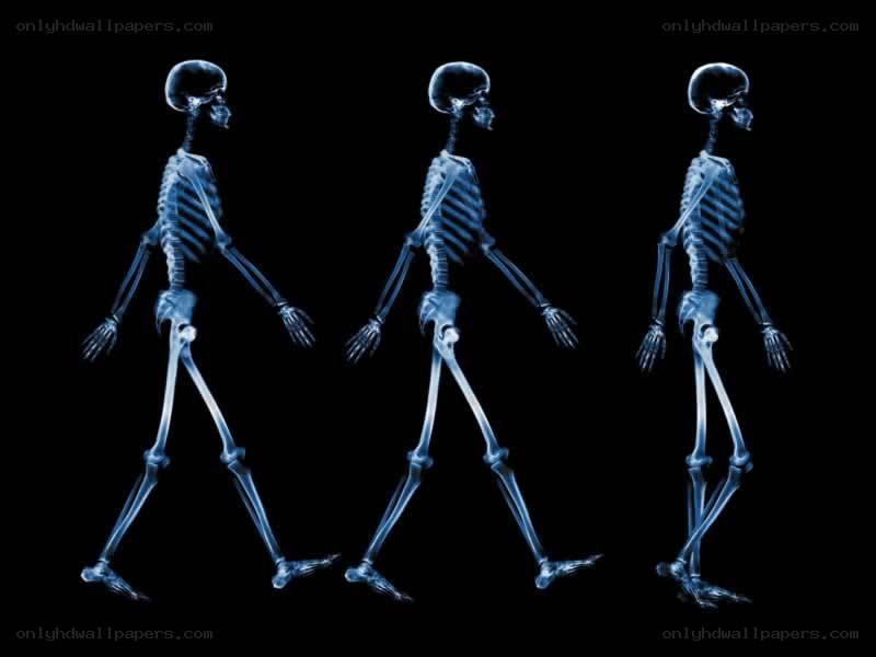 skeleton walking sequence