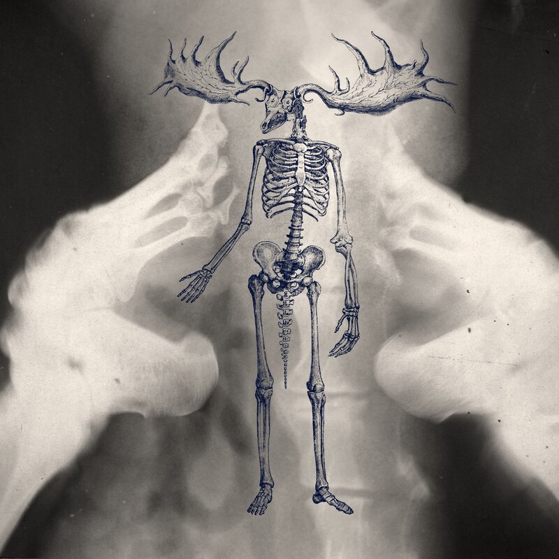 Skeleton with Antlers