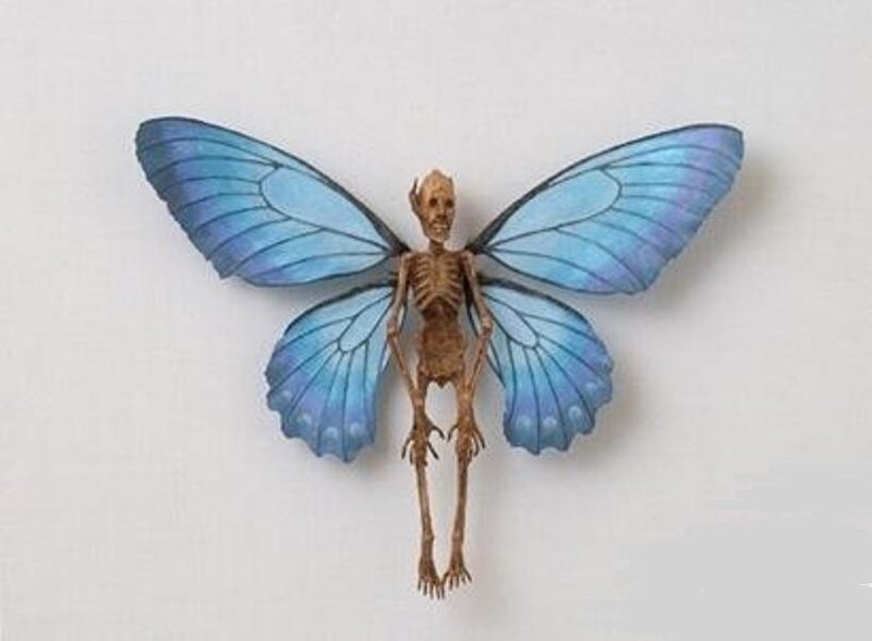 Skeleton with Blue Butterfly Wings