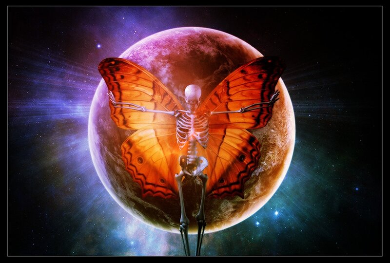Skeleton with Butterfly Wings