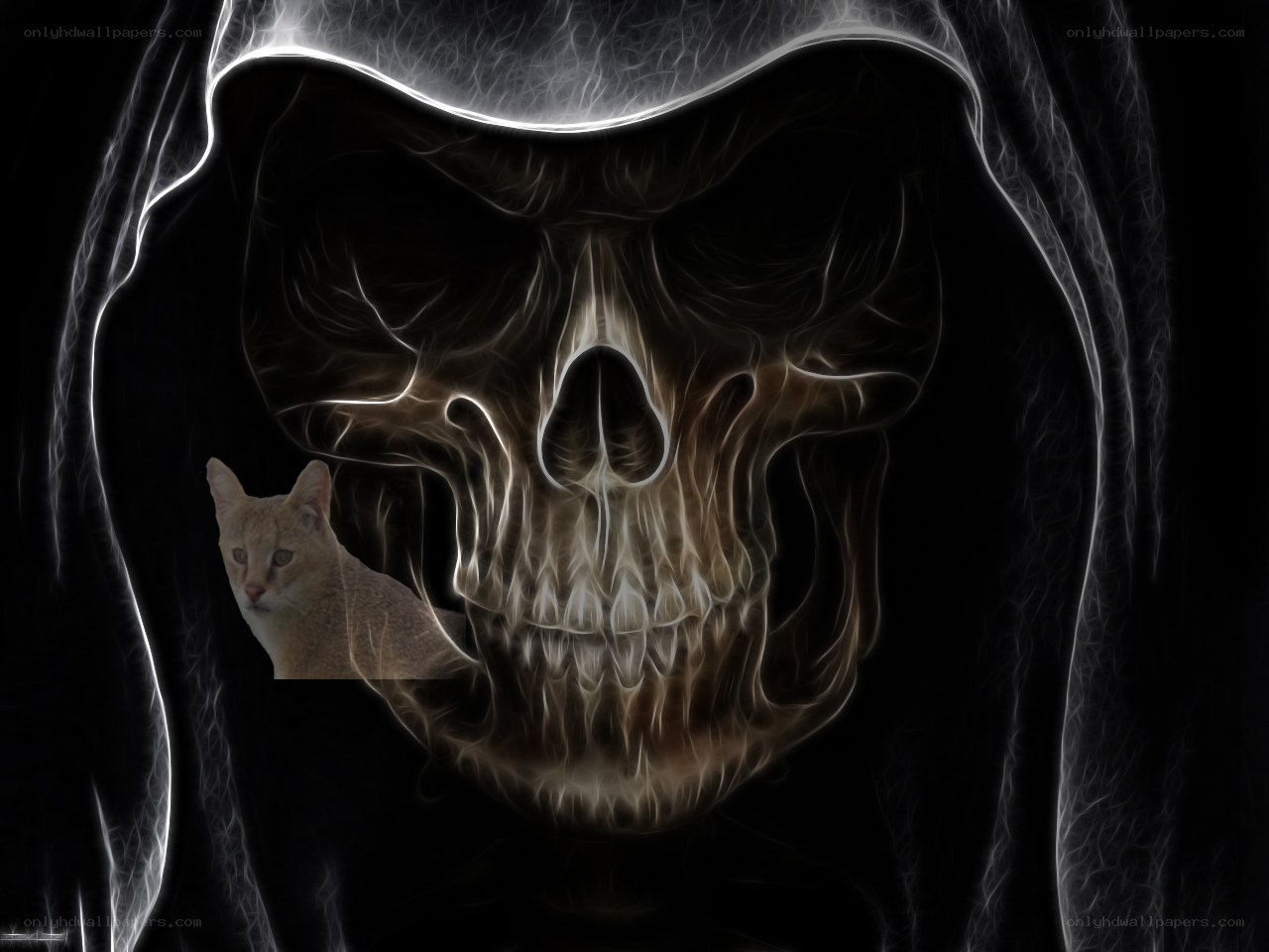 skeleton with cat in hood