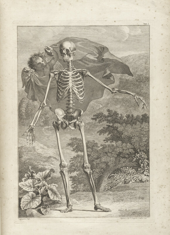 skeleton with cherub illustration