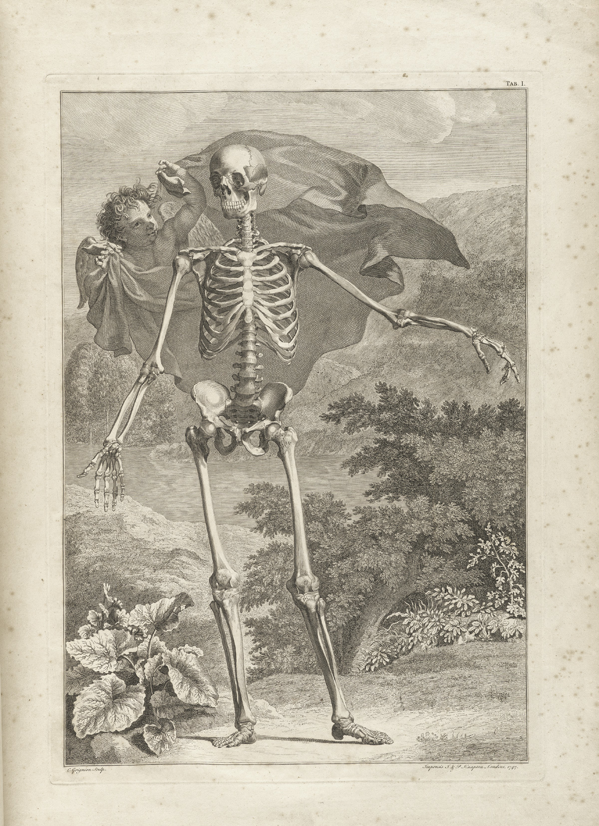 skeleton with cherub illustration