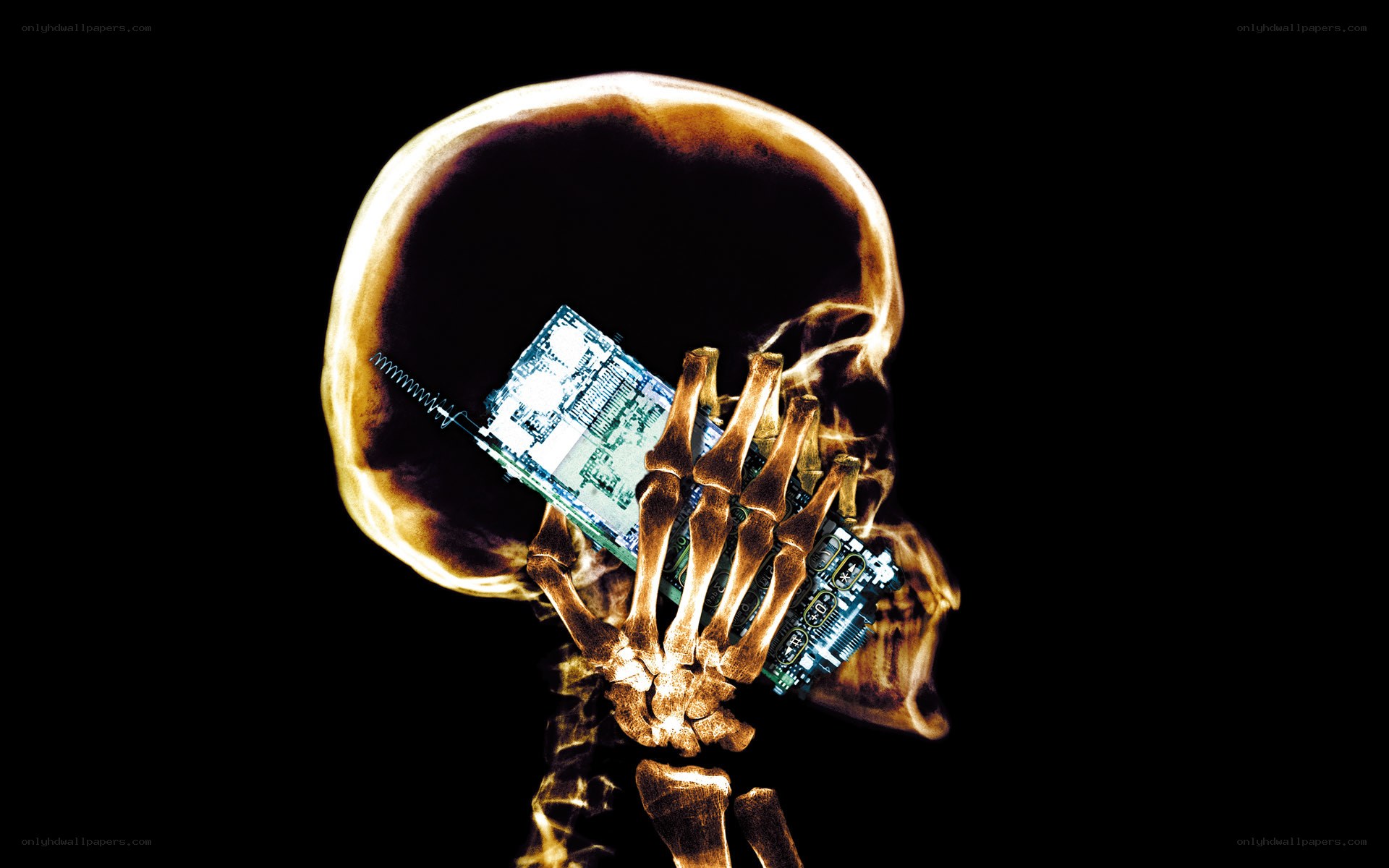 skeleton with circuit board