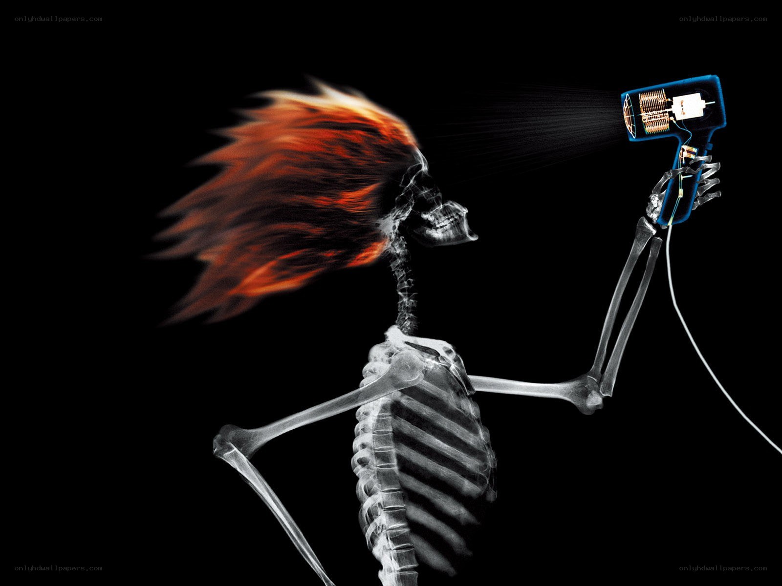 skeleton with hair dryer