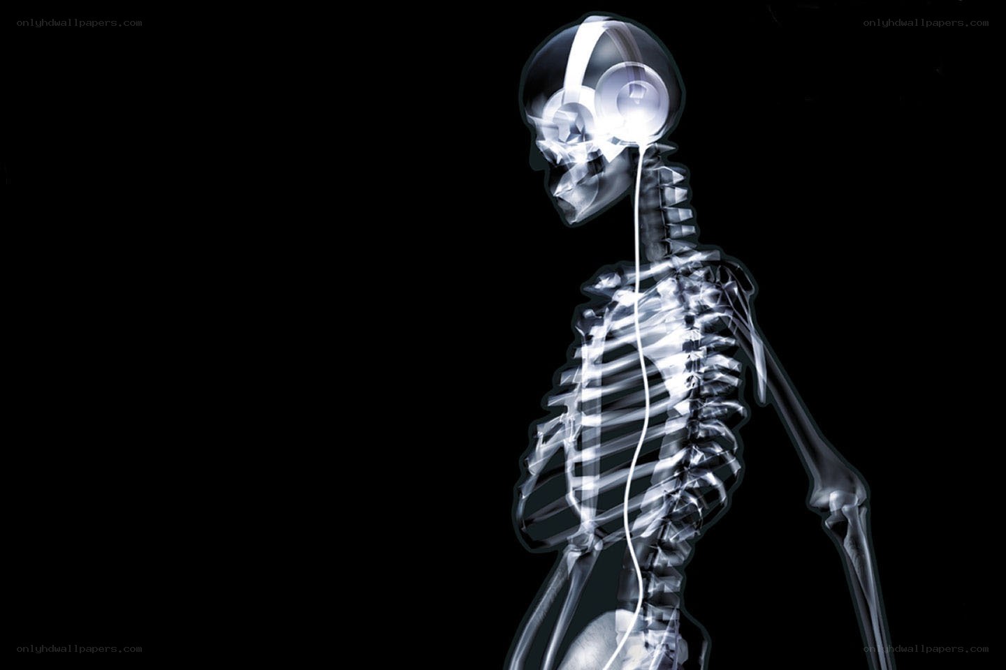 skeleton with headphones x-ray