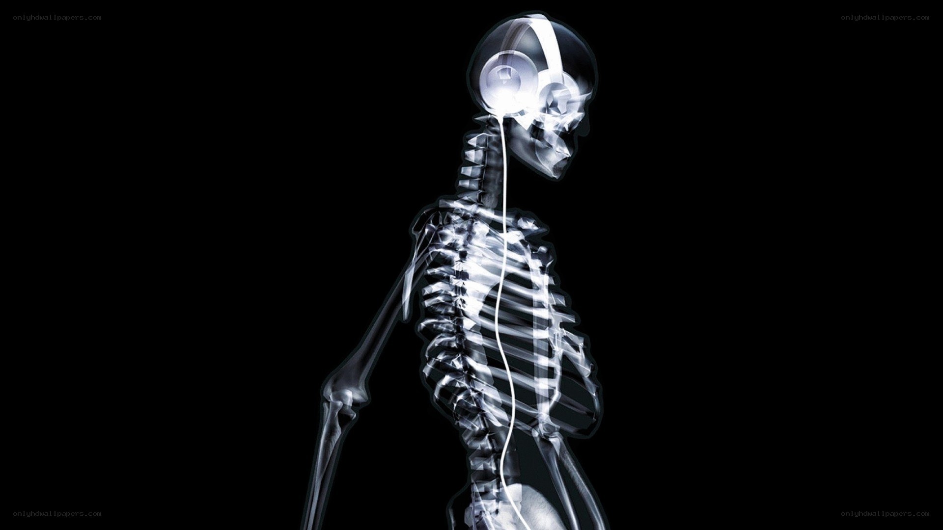 skeleton with headphones