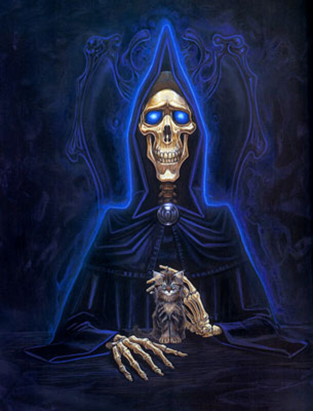Skeleton with Kitten — Blue
