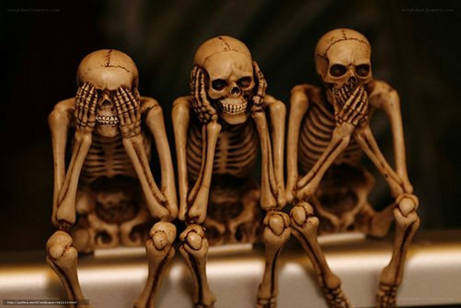 skeletons covering senses