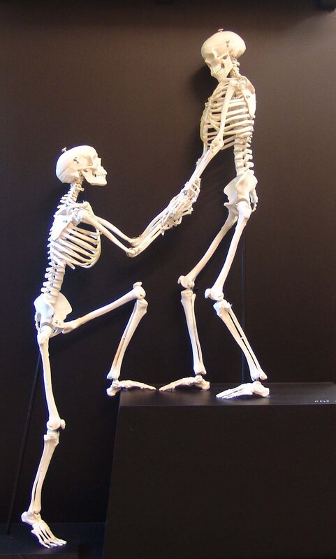 skeletons holding hands