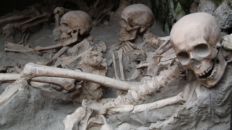 Skeletons in Burial Site