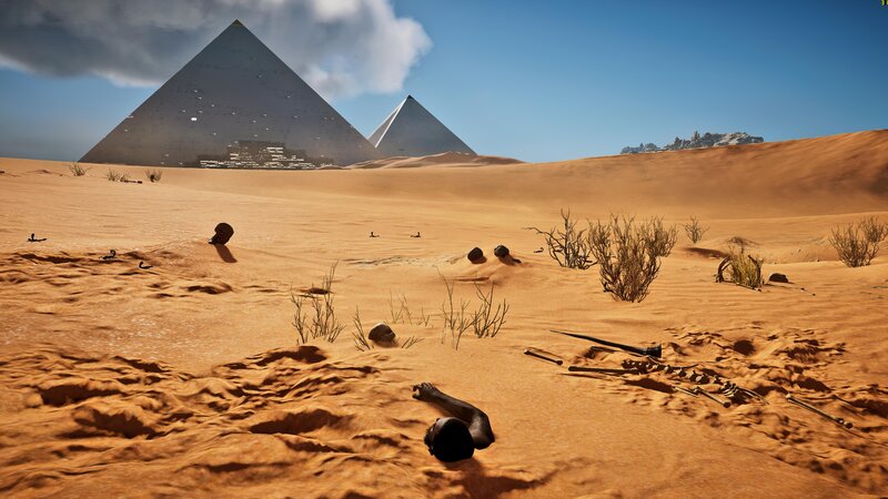 Skeletons in Desert