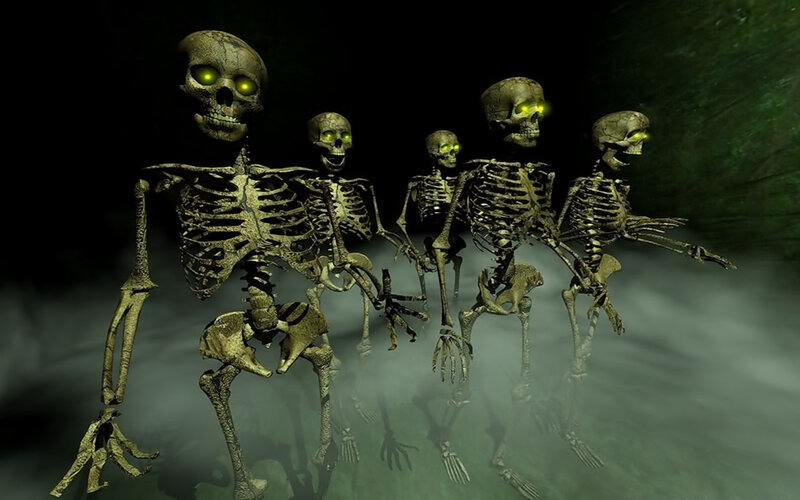 Skeletons in Fog